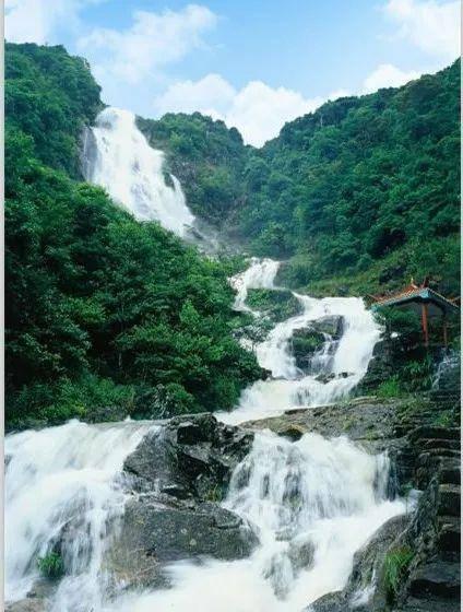 了解夏天喝什么茶好?的问题解答平台